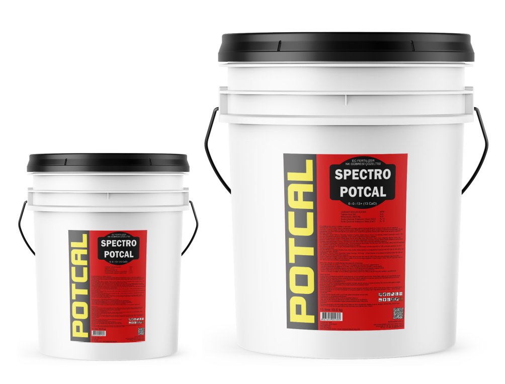 SPECTRO POTCAL 6-0-13 + (13 CaO)