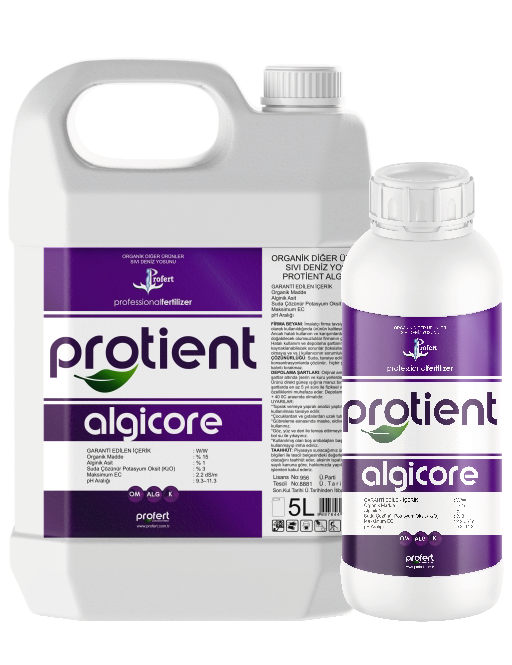 PROTİENT ALGİCORE
