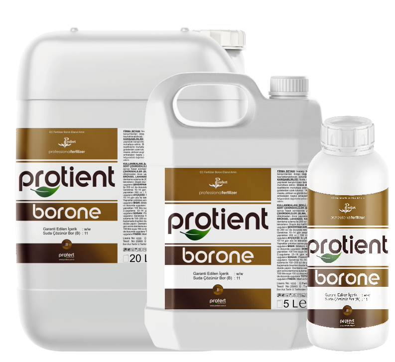 PROTIENT BORONE