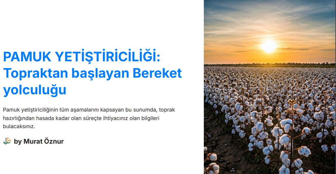  PAMUK YETİŞTİRİCİLİĞİ: Topraktan başlayan Bereket yolculuğu