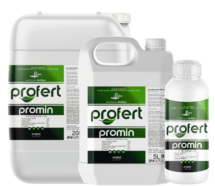 PROMİN